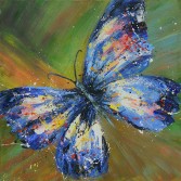 Color Butterfly by Nancy Le. Gallery Wrapped